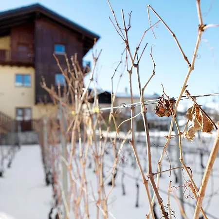 La Vigne De Papagran App5 Apartment