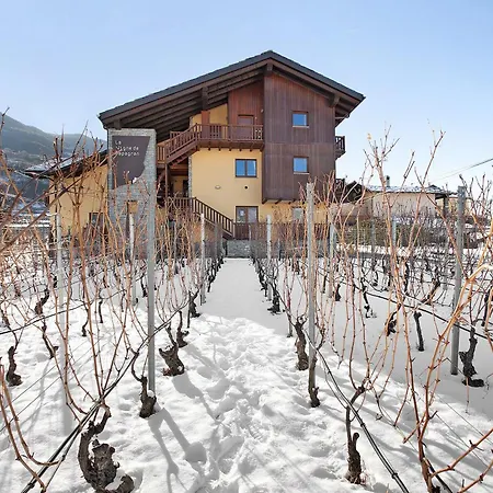 La Vigne De Papagran App5